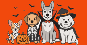 halloween-contest-image
